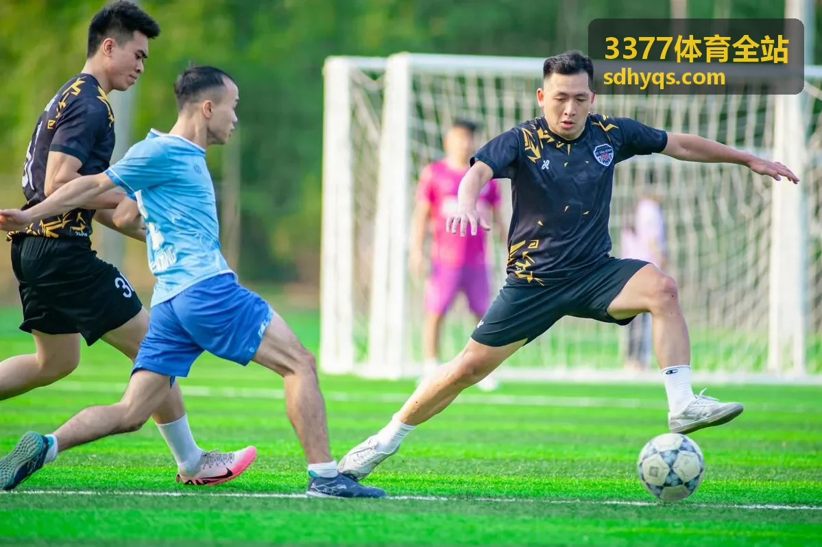 3377体育全站综合运动会运营案例