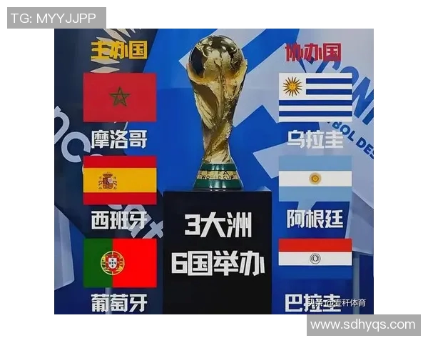 足球星视界：探索全球足球明星的成长之路与辉煌成就